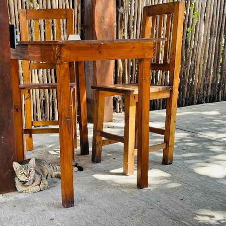 Ahava Hostal Boutique Cancun Dış mekan fotoğraf