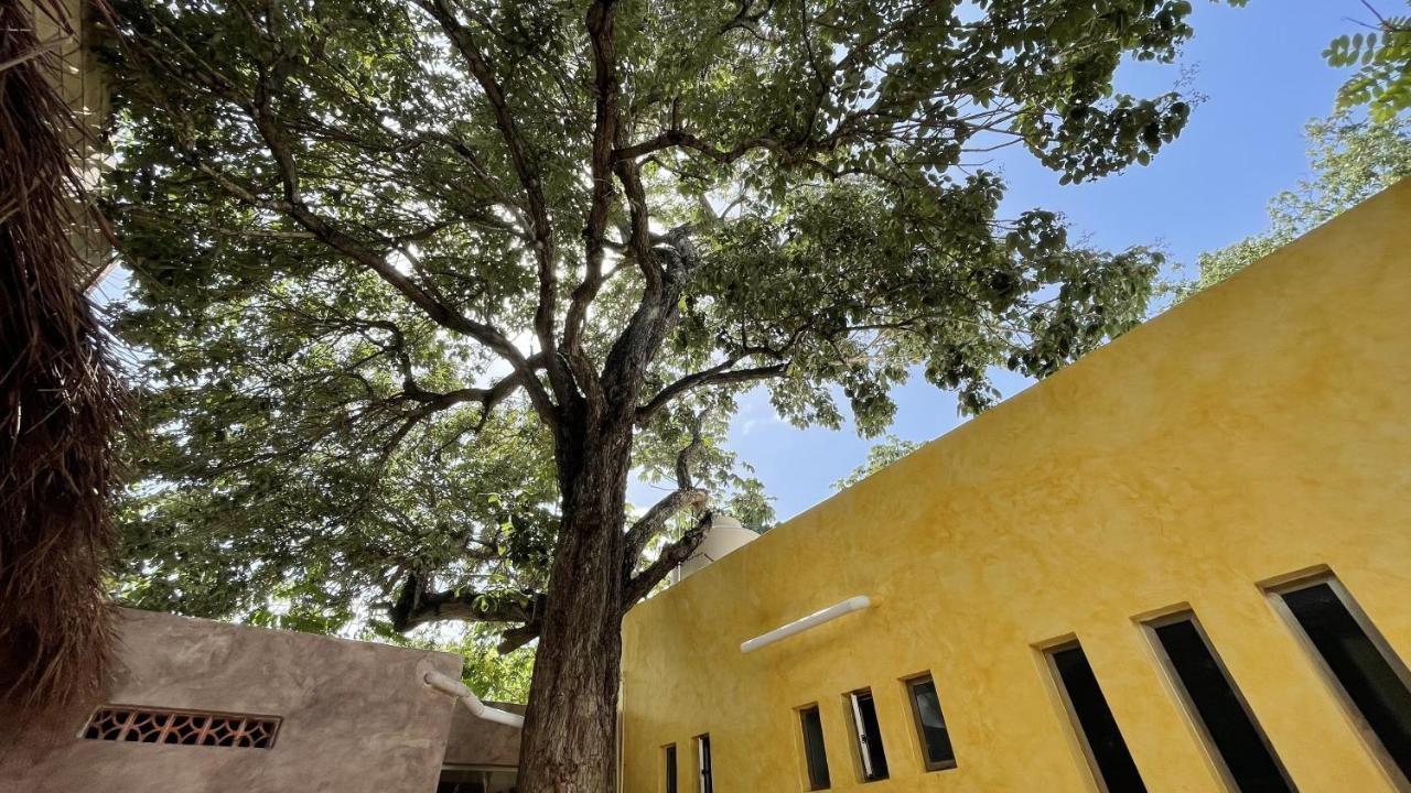 Ahava Hostal Boutique Cancun Dış mekan fotoğraf