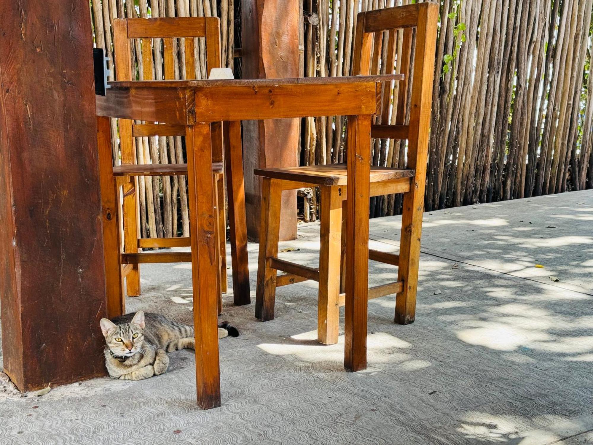 Ahava Hostal Boutique Cancun Dış mekan fotoğraf